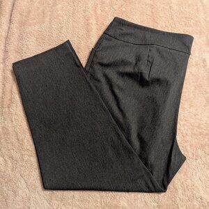 Terra & Sky Gray Pants, 2x